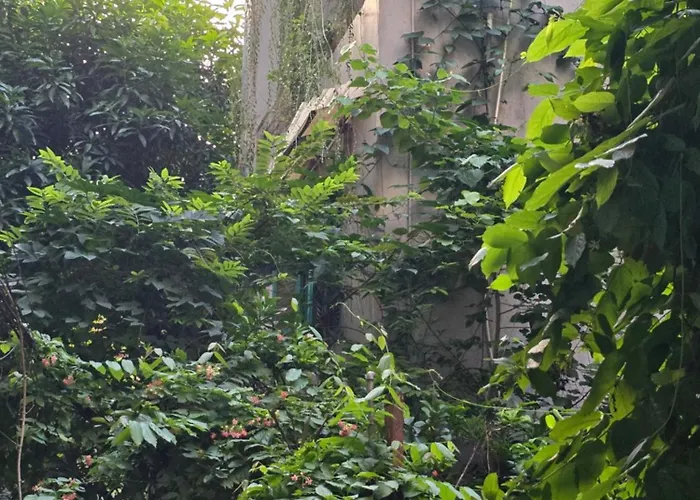 Homestay Pham Van Dong, Ha Noi